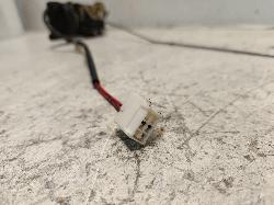 Contact us for Photo