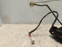 Contact us for Photo