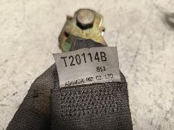 Contact us for Photo