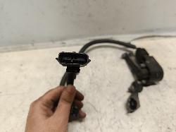 Contact us for Photo