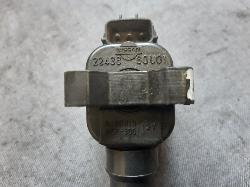 Contact us for Photo