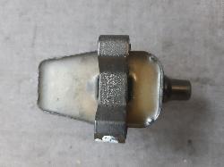 Contact us for Photo