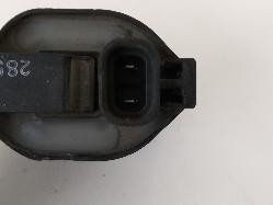 Contact us for Photo