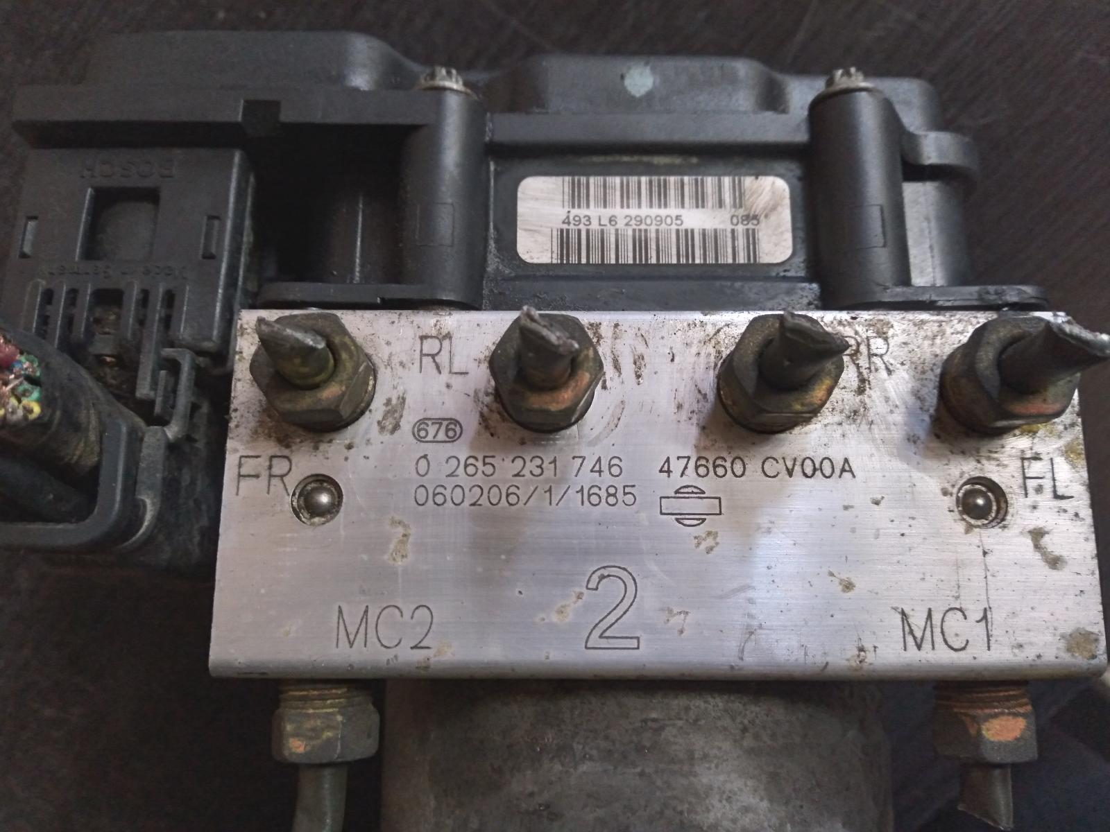 Contact us for Photo