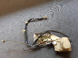 Contact us for Photo