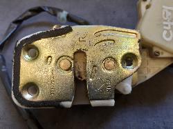 Contact us for Photo