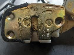 Contact us for Photo