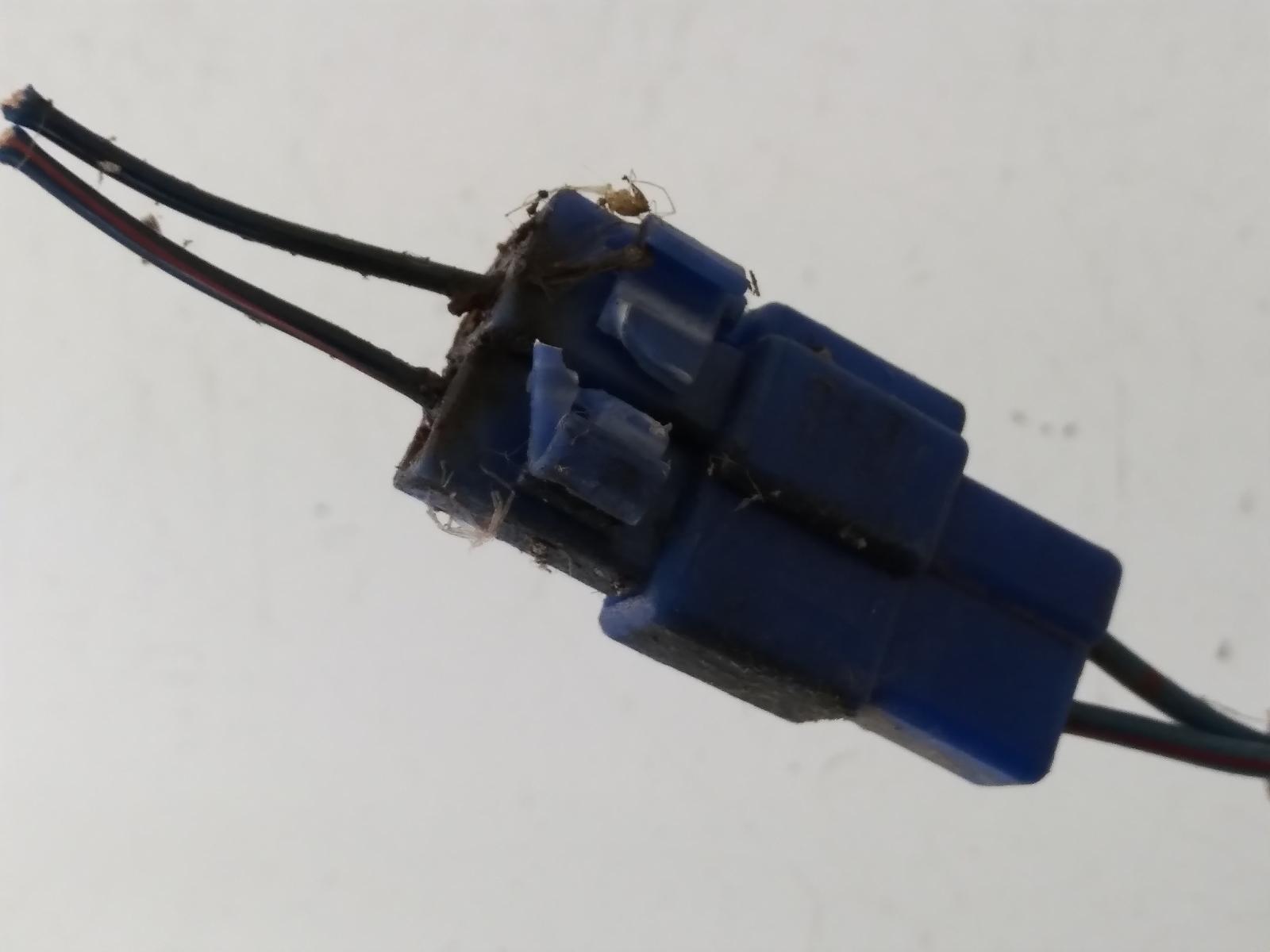 Contact us for Photo