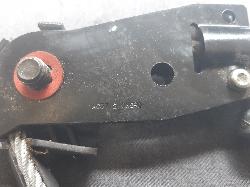 Contact us for Photo