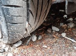 Contact us for Photo