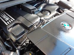 Contact us for Photo