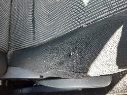 Contact us for Photo