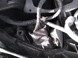 Contact us for Photo