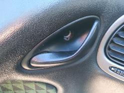 Contact us for Photo