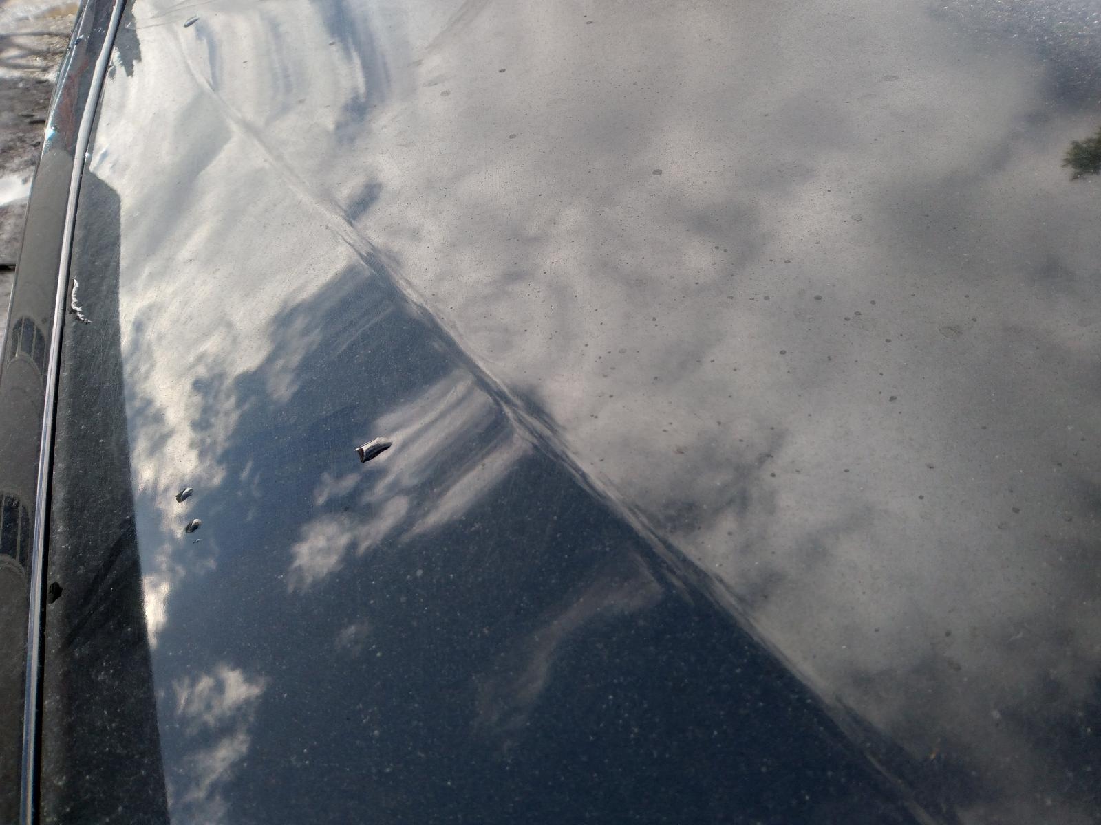 Contact us for Photo