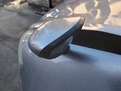 Contact us for Photo