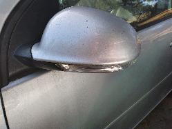 Contact us for Photo