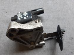 Contact us for Photo