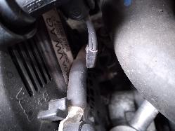 Contact us for Photo