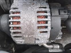 Contact us for Photo