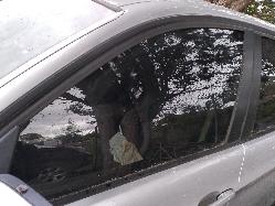 Contact us for Photo