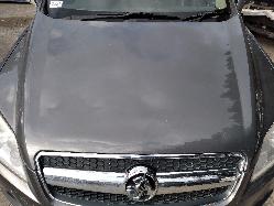 Contact us for Photo