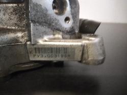 Contact us for Photo