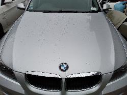 Contact us for Photo