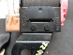 Contact us for Photo