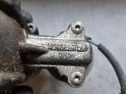 Contact us for Photo