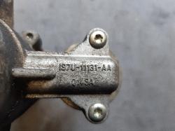 Contact us for Photo