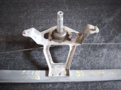 Contact us for Photo