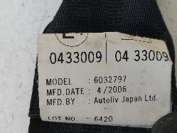 Contact us for Photo