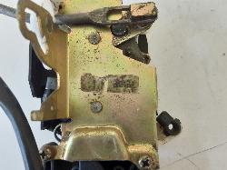 Contact us for Photo