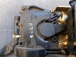 Contact us for Photo