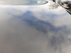 Contact us for Photo