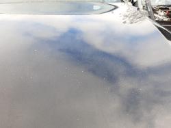 Contact us for Photo