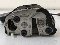 Contact us for Photo