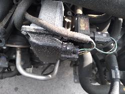 Contact us for Photo