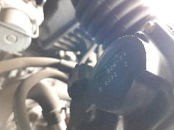 Contact us for Photo