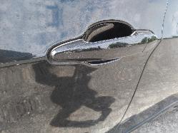 Contact us for Photo