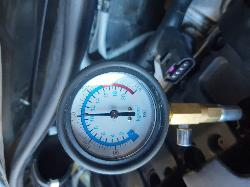 Contact us for Photo