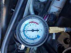 Contact us for Photo