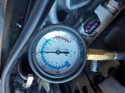 Contact us for Photo