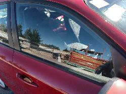 Contact us for Photo