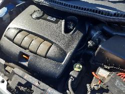 Contact us for Photo