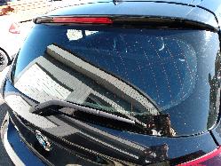 Contact us for Photo