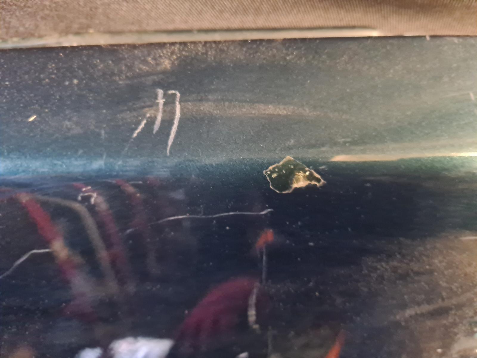 2001 MITSUBISHI GALANT Left Guard Contact us for Photo