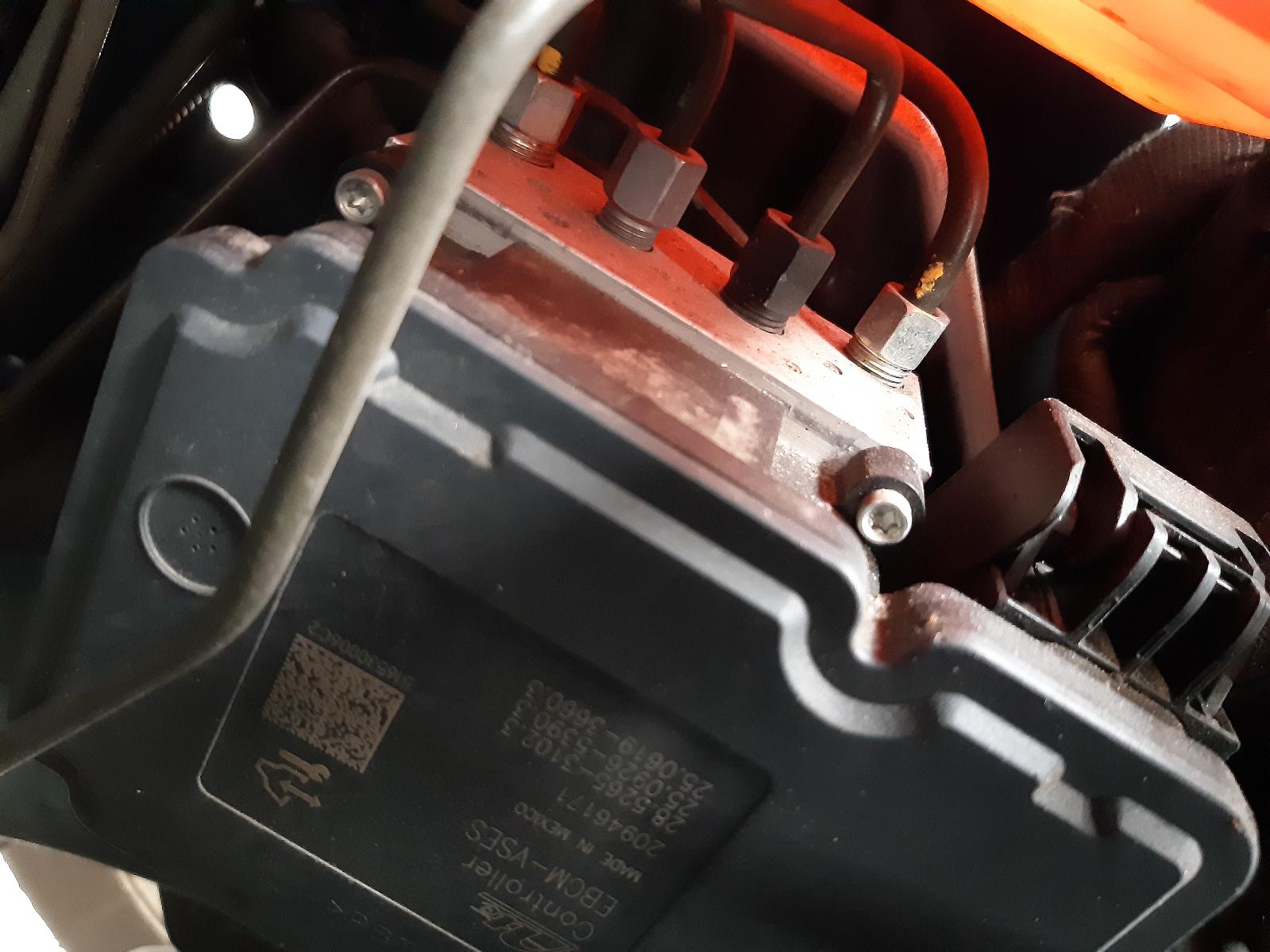 Contact us for Photo