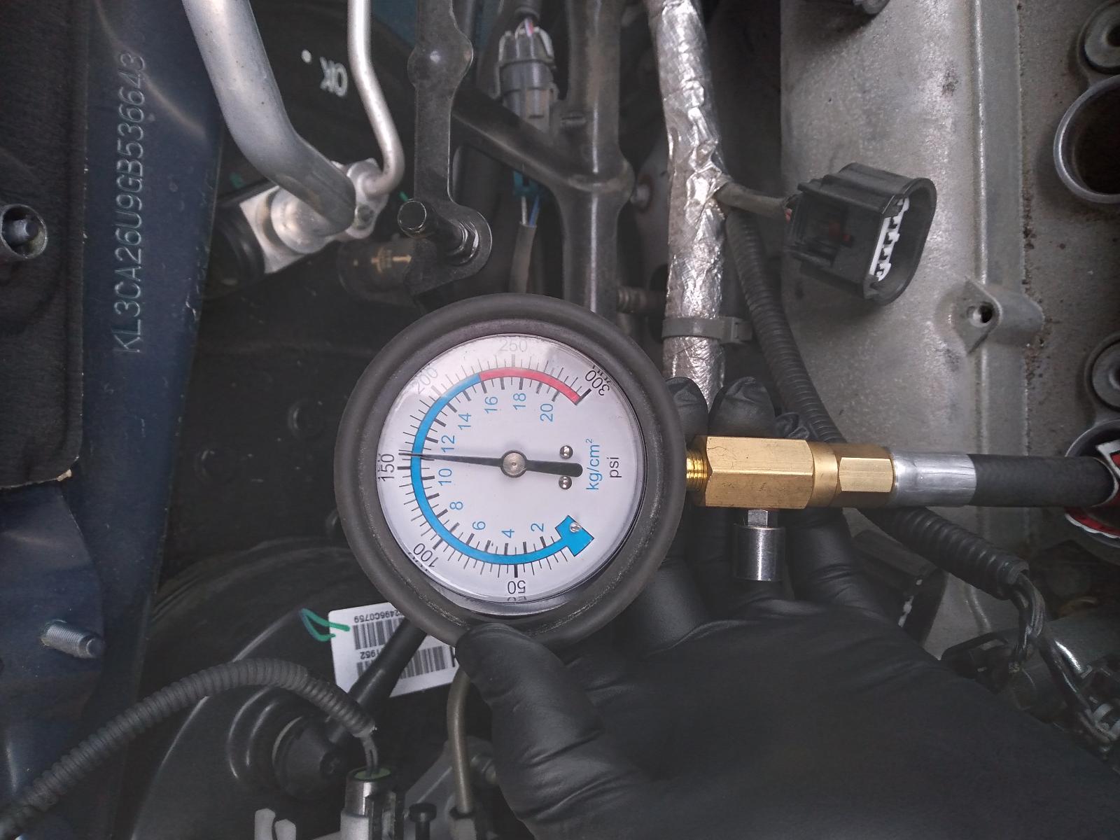 Contact us for Photo